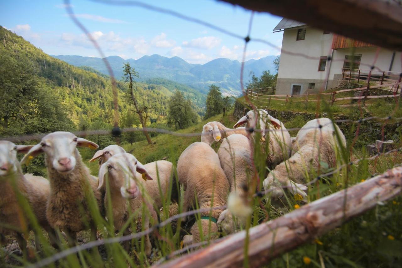 Apartma Gorski Razgled Srednja Vas v Bohinju Екстериор снимка