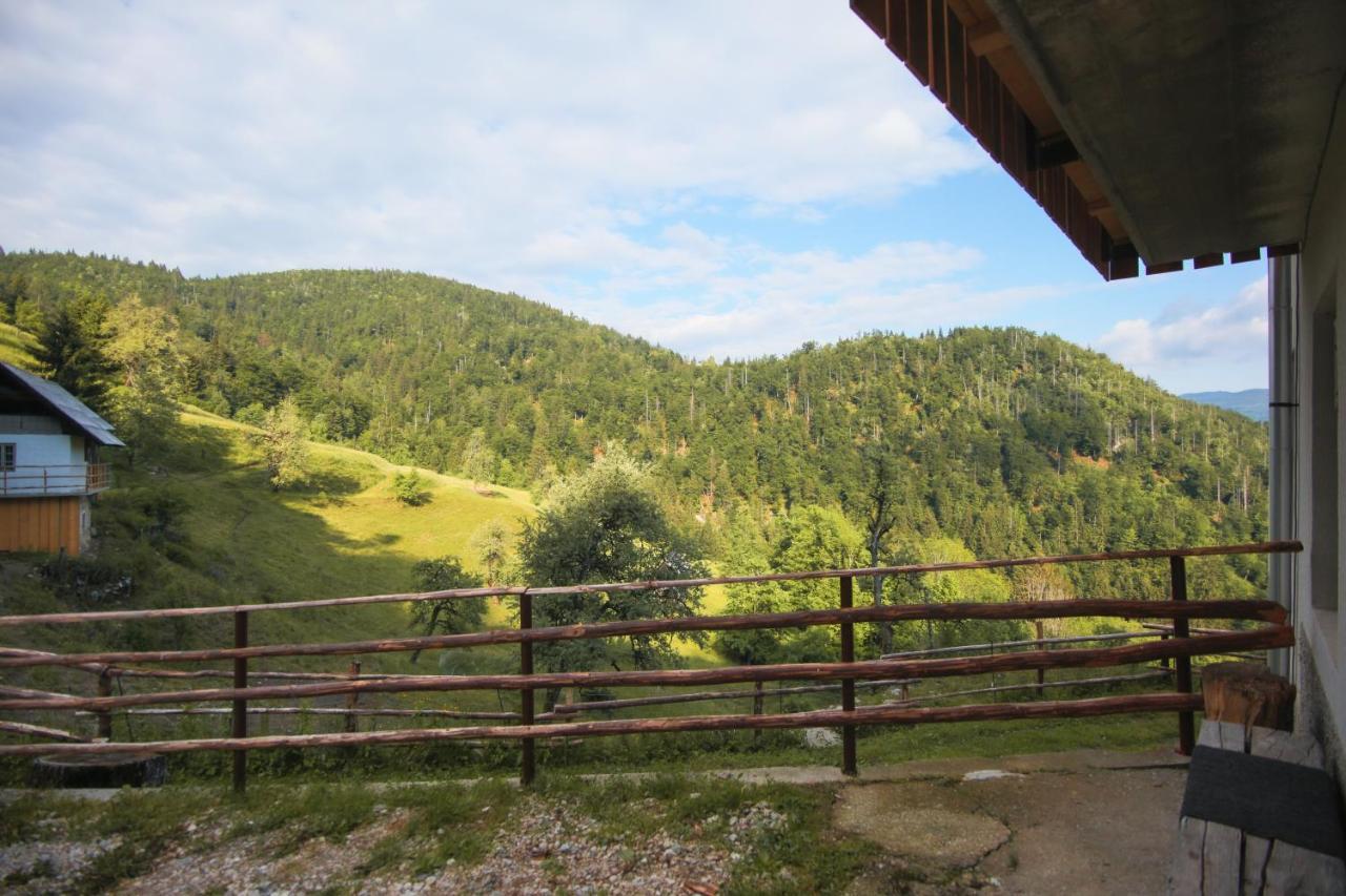 Apartma Gorski Razgled Srednja Vas v Bohinju Екстериор снимка